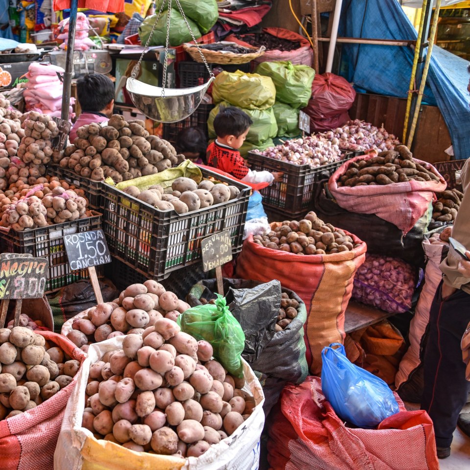 Die vielfältige Welt der Inkas